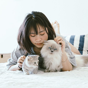 What will happen to my pets after the divorce Lawyer, Houston, Texas